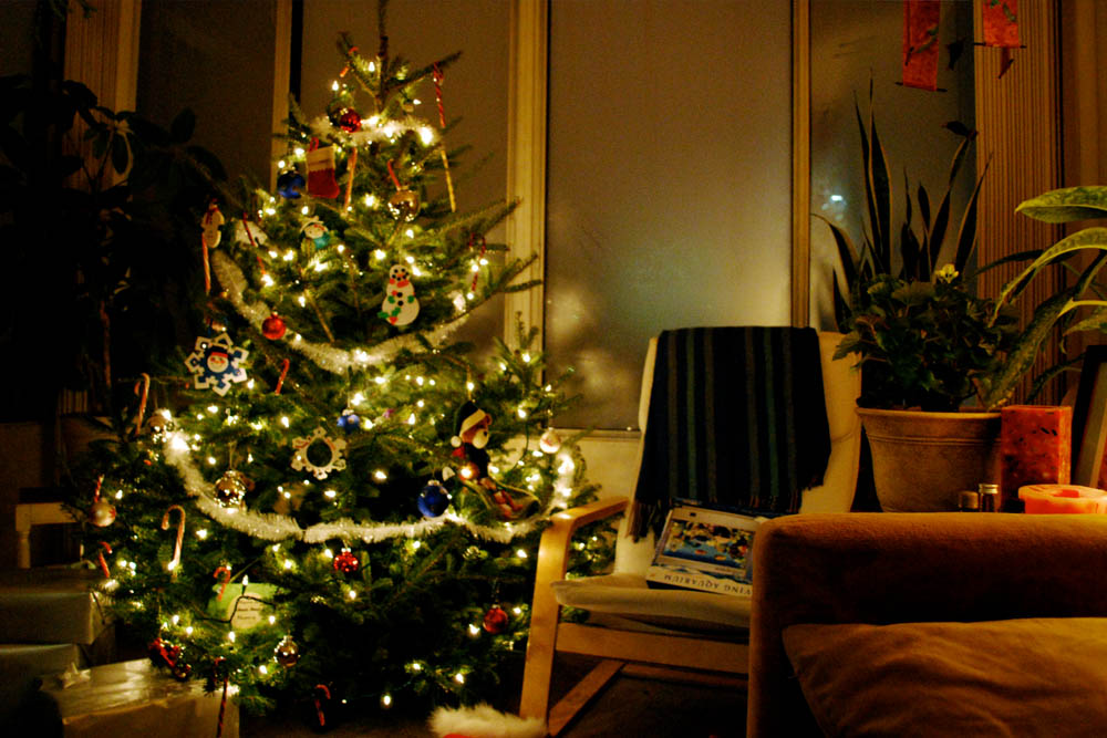 Juletræ med stil – sÃ¥dan vælger du det rigtige træ guide mojo Stue juletræ